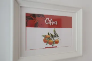Citrus - Mons Casa Butik Otel