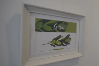 Laurus - Mons Casa Butik Otel