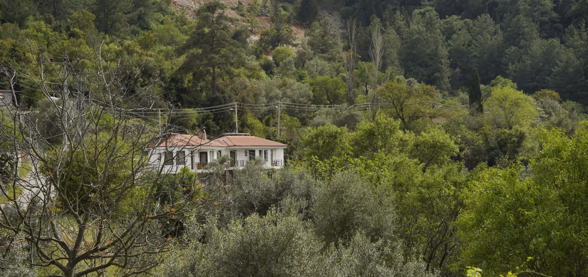 Mons Casa ile Doğayı Keşfetmek İster misiniz?